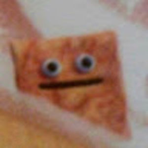 Meet your Posher, Ally